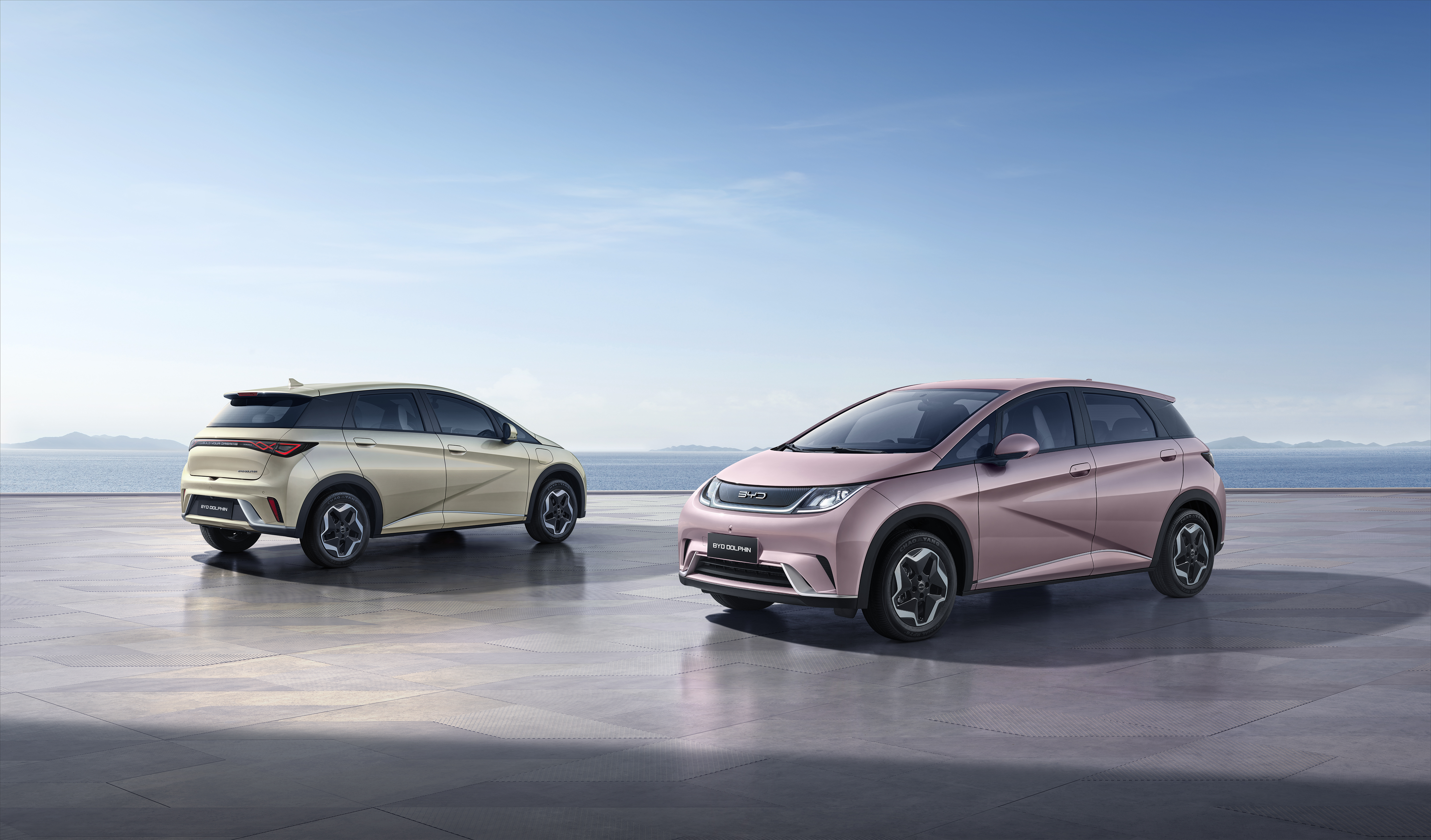 BYD DOLPHIN